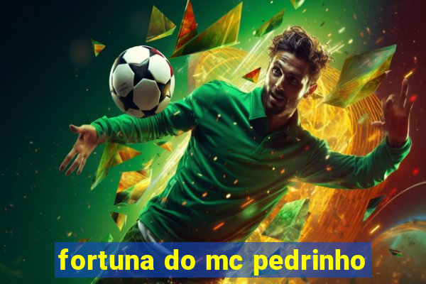 fortuna do mc pedrinho